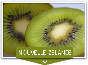 Séjour linguistique en Nouvelle-Zélande