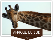 Séjour linguistique en Afrique du Sud