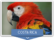 Séjour linguistique au Costa Rica et en Republique Dominicaine